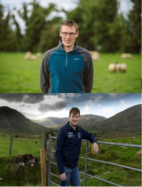 a collage of a person standing in a field