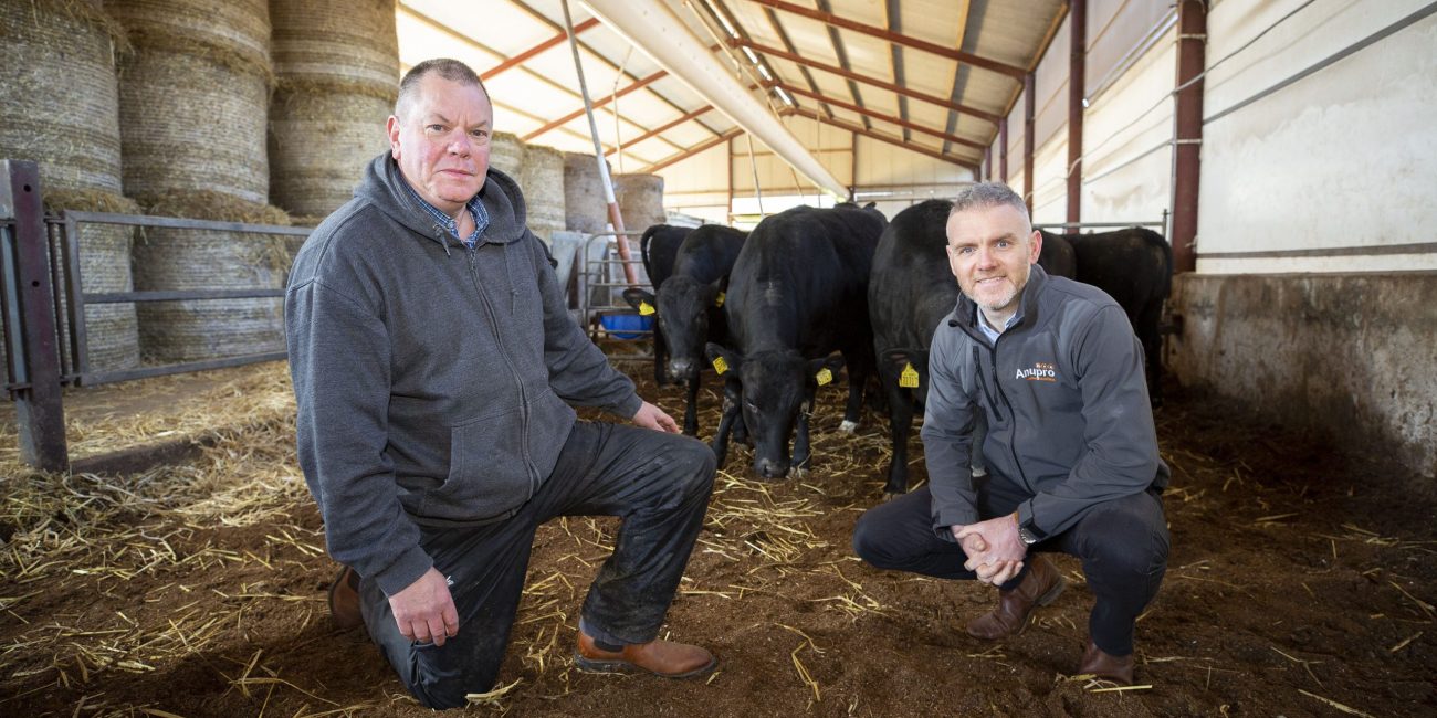 two men kneeling in a barn with cows